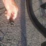 Favero Assioma uno Bike Power Meter Image 4