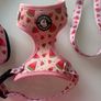dog harness, lead, and poop bag holder xs Image 2