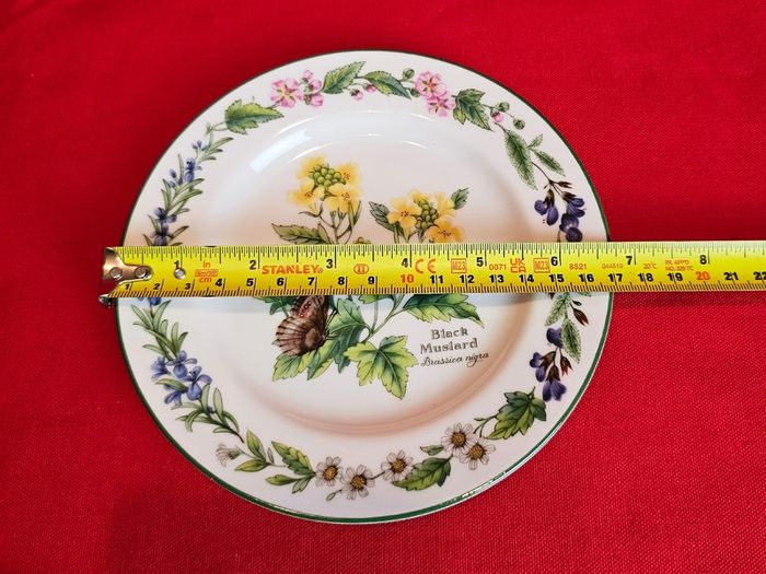 Royal Worcester Herbs Dinnerware , Set of two Rosemary and Black Mustard plates