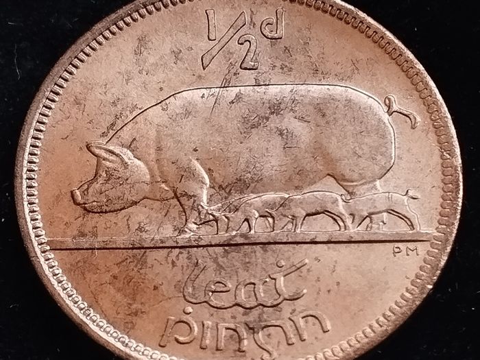 Ireland - 1966 - Half Penny - Sow - AU - KM.10 - [2027]