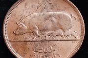 Ireland - 1966 - Half Penny - Sow - AU - KM.10 - [2027]