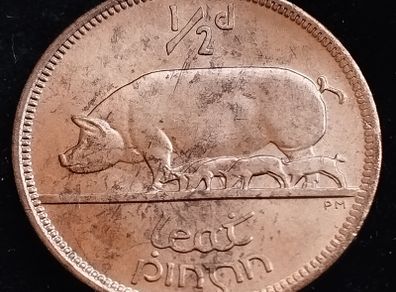 Ireland - 1966 - Half Penny - Sow - AU - KM.10 - [2027]