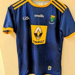 Wicklow GAA Jersey Shirt Top kids 13 years