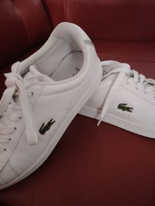 Lacoste POWERCOURT - Trainers - white