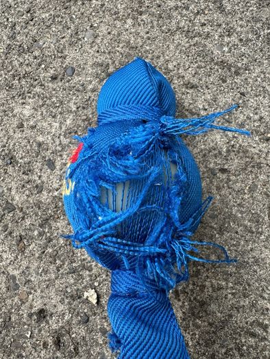 Kong toy