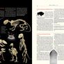 Atlas Obscura - An Explorer's Guide to the World's Most Unusual Places - Hardcover Image 5