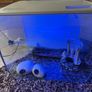 Fish tank Fluval Image 3