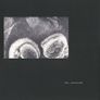 Two Daughters: Recordings 1979-1981 LP Limited Edition, Numbered Image 2
