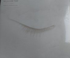 NEW/ SEALED Neil and Liam Finn - Lightsleeper - 2LP vinyl - Gatefold - plus FREE   Neil Finn CD