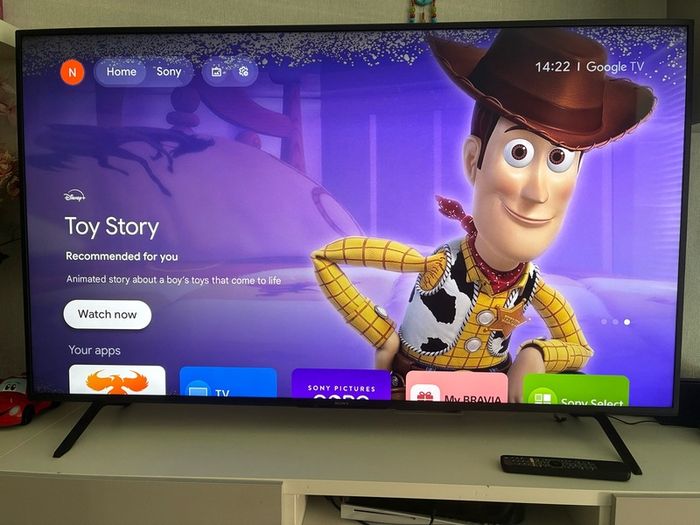 Sony 65 inch TV