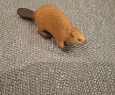 Schleich Beaver
