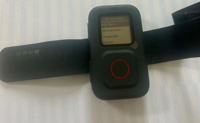 GoPro Smart Remote