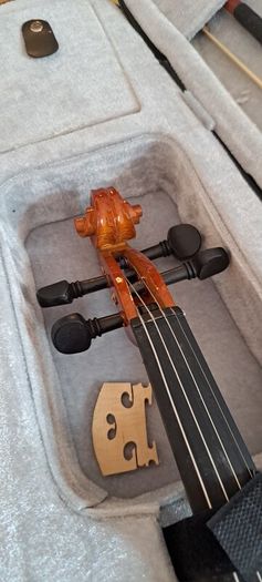 Beginner Violin and black case