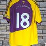 2006 Wexford Gaa Jersey Size Small Image 4