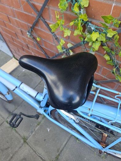 ladys bike