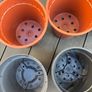Plastic Plant Pots Bundle Image 2