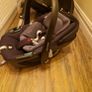 Maxi Cosi pebble 360 car seat and familyfix 360 base Image 5