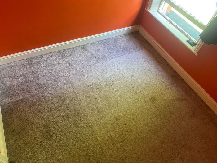 2 bedroom carpets