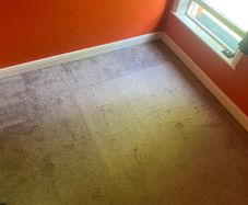 2 bedroom carpets