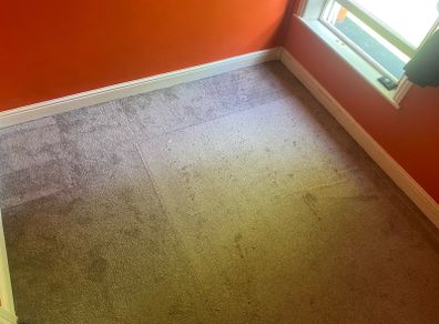 2 bedroom carpets