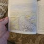 A Burren Journal.  By Sarah Poyntz. Illustrated By Gordon D'arcy & Anne Corff. Large Volume Paperback In Good Condition.  See Photos For Same. Image 7