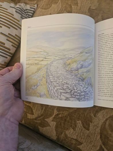 A Burren Journal.  By Sarah Poyntz. Illustrated By Gordon D'arcy & Anne Corff. Large Volume Paperback In Good Condition.  See Photos For Same.