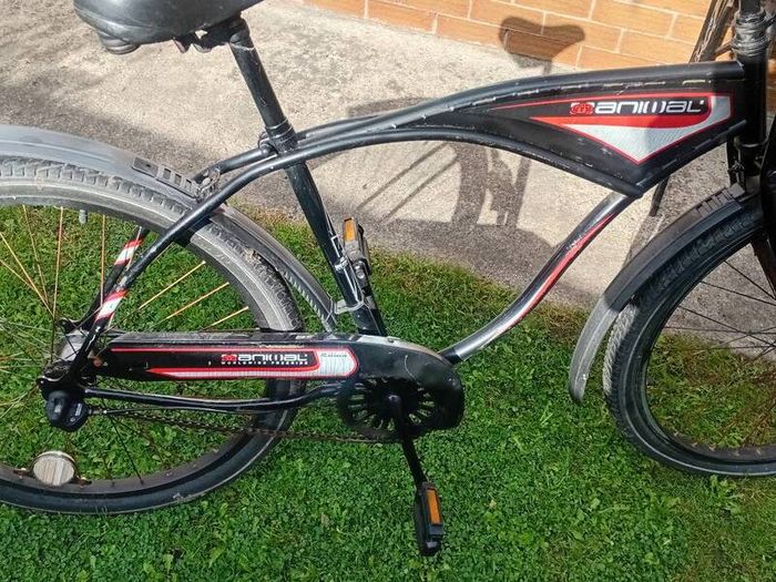 adults bike