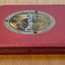 Dragonology The Complete Book of Dragons Image 2