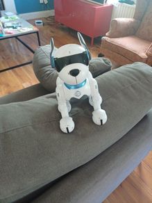 robo dog