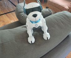 robo dog