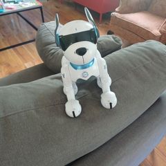 robo dog