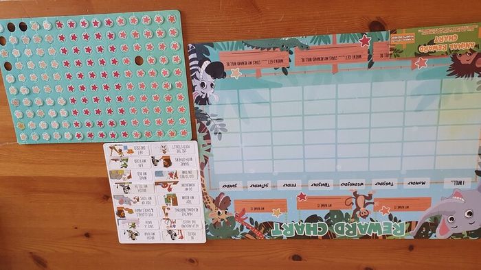 Reward chart