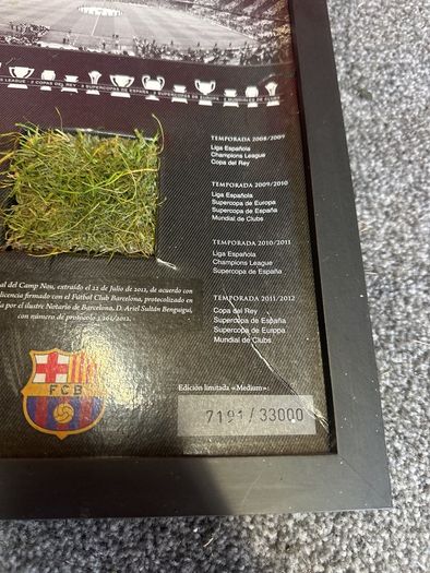 Barcalona camp nou grass