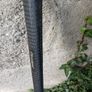 putter Image 2