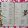 Kate Bush Never for Ever Vinyl Image 2