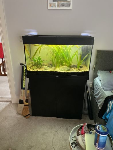 Juwel  125 litre tank and cabinet set 450 ONO