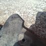 Volvo 140/160 240 mud flaps Image 3