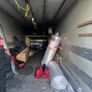 40ft container FREE Image 4