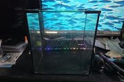 Small fish tank