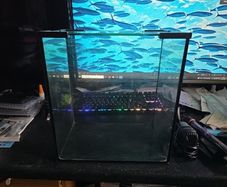 Small fish tank