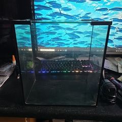 Small fish tank