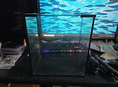 Small fish tank