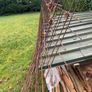 Mesh Reinforcement Image 2