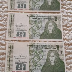Uncirculated Irish Old Punts X Five - 1989