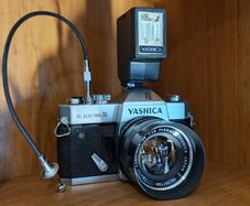Yashica TL Electro X + Yashica 50mm f1.4