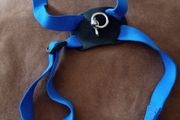 dog harness