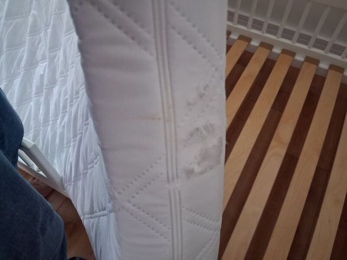 Toddler House Bed