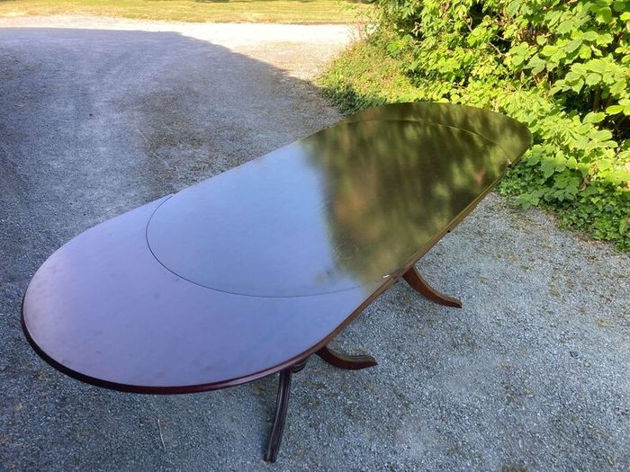 Extendible Dining Table and Chairs