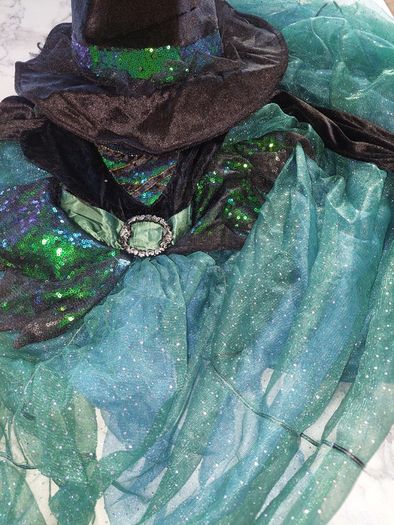 Witches costume (Halloween) ( fancy dress)