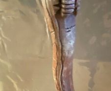 Harry Potter Collectors Wand